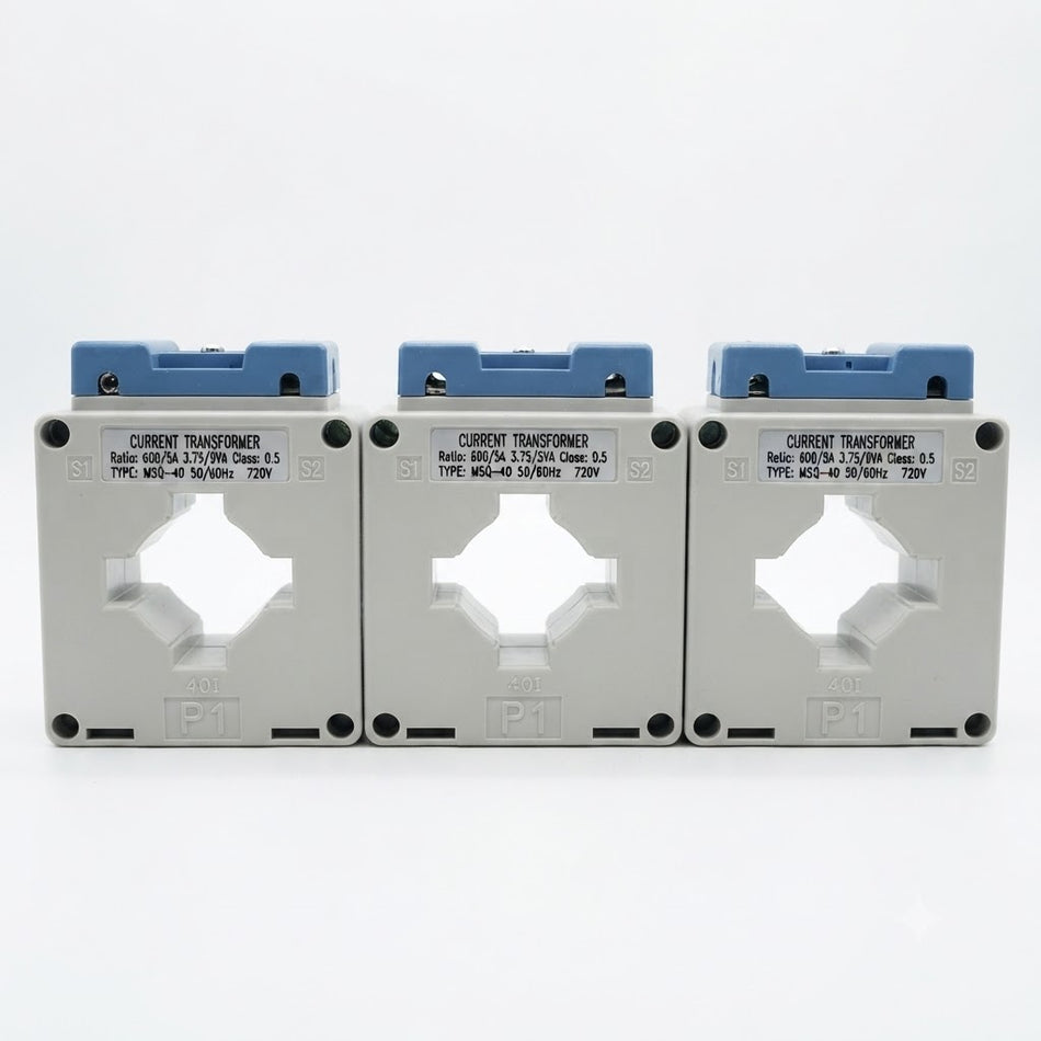 MSQ 100
